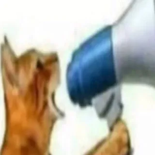 -кот в стакане-