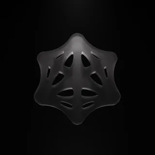 morphon