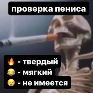Папка с порнушкой