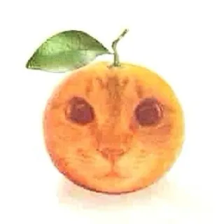 ⋆ 𝑺𝒐𝒏𝒚𝒂𝑵𝒐𝒕𝑭𝒐𝒖𝒏𝒅 ⋆