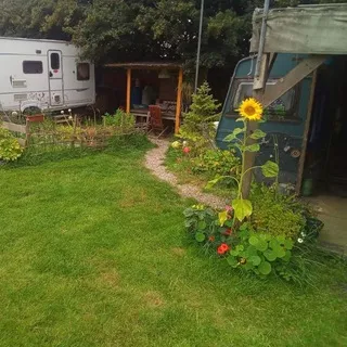 Pirate's Off Grid Homestead