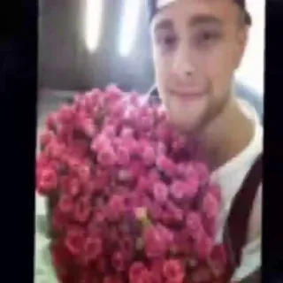 Звёздная чипсина