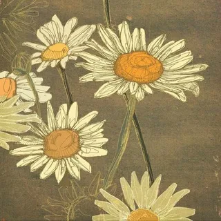 wishchamomile