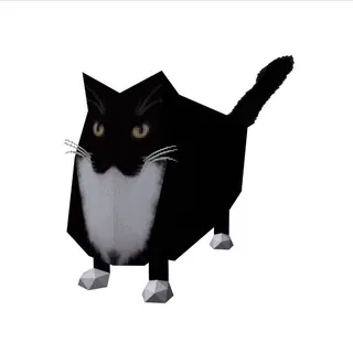 patch