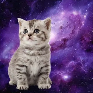 𝒮𝒽𝓊 / рест
