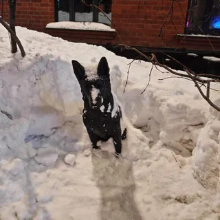 АйКын