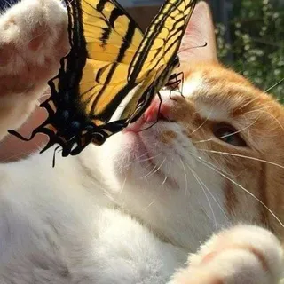 нужна!