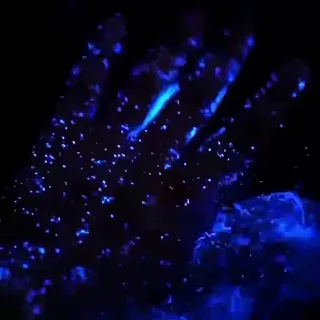 ꙳.*𝕤𝕥𝕒𝕣 𝕠𝕔𝕖𝕒𝕟*.꙳
