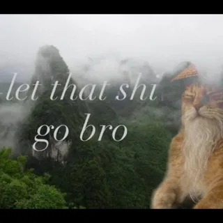 смотреть 🫯