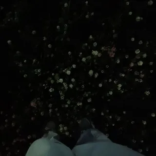 Д᧐ⲙ персика