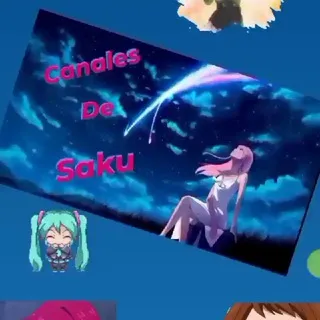 Canales de Saku