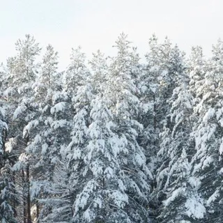 прекрасное рядом