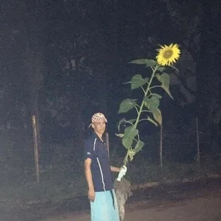 Гнездо пернатой хтони
