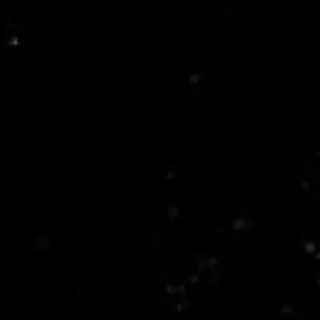 [Рест] : 𝘿e̶𝗮ɼ FFD'𝘴 𝗰h̃𝗮n⃨𝗻ꫀ𝗹