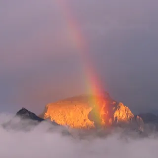 👨‍👦‍👦 DasSindWir - Berchtesgadener Land / BGL