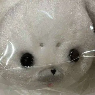 Plush toys confession