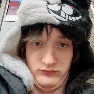 В голове Зена #БобовыеЖуки🪲