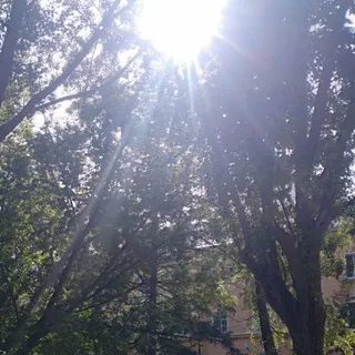 ваш паникёр
