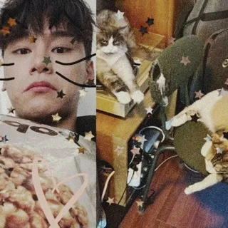 swaggy 짱 meow-min