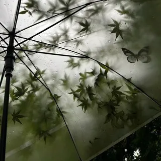 hׁׅ֮ 𝓐𝘤𝘦y͙ 🍃 ׄ 𝑰𝓷𝓯𝒐 ִ °.