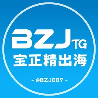 宝正精出海•资源项目海外支付交流群