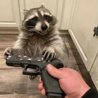 Будка енота