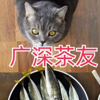 深圳茶友报告榜