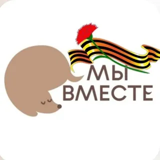 Helpdogmini БЛАГОТВОРИТЕЛЬНЫЙ ФОНД "МЫ ВМЕСТЕ" 🐶