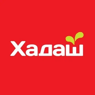 «Хадаш» на русском