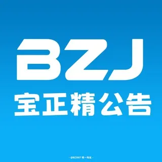 宝正精【出海公告】