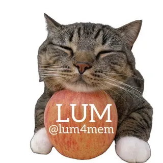 LUMінація