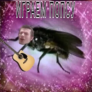 Набор админов❕ксб музик кф ^_^
