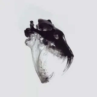 The Last Sip