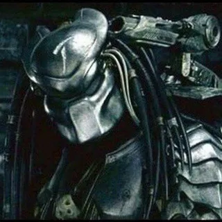Predator confession | 💀🏆