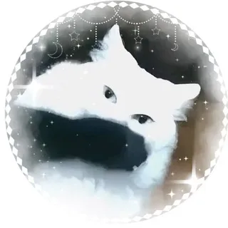 ♡ 𝗉𝖺𝗋𝗋𝗈𝗍𝗑𝟤 ｡