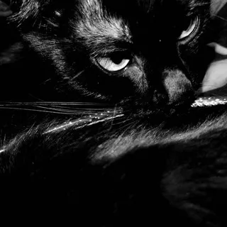 - Ꭻi-un.🕷🕸