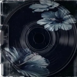 дᥲʙᥲᥔ ᥴдᥱ᧘ᥲᥱʍ ɸ᧐ᴛ᧐?