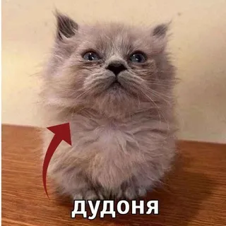 Муравьиный замок