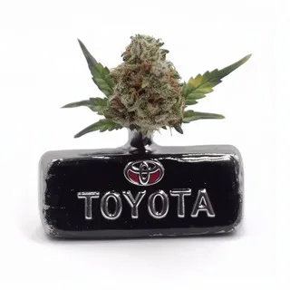 antidrugs