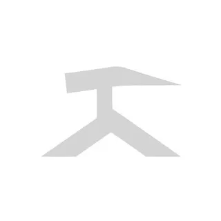 Riot FM