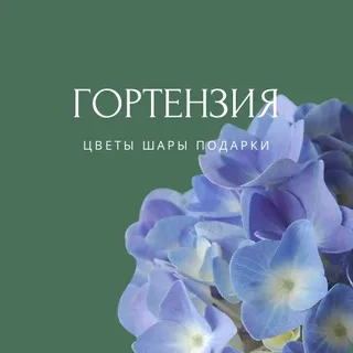 ГОРТЕНЗИЯ |цветы|шары|подарки