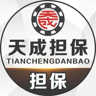 天成担保 TC GUARANTEE