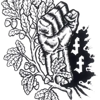 Forest Fights USA
