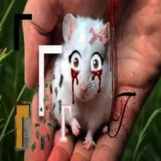 г