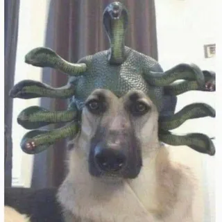 Шизаторий Смака