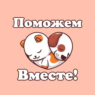 Поможем приютам для животных вместе!🐱🐶