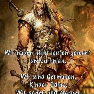 🇳🇱Wodan's/Wotan's volk🇩🇪🇾🇪