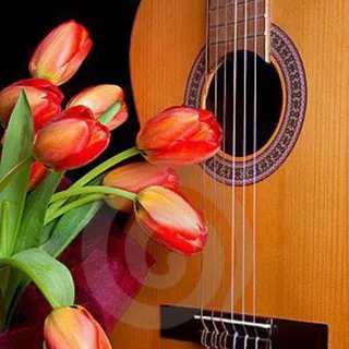 🎧Louvai Gospel Oficial