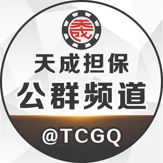 天成担保公群频道