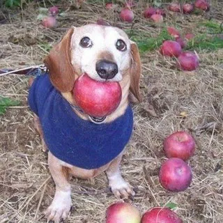 ээ